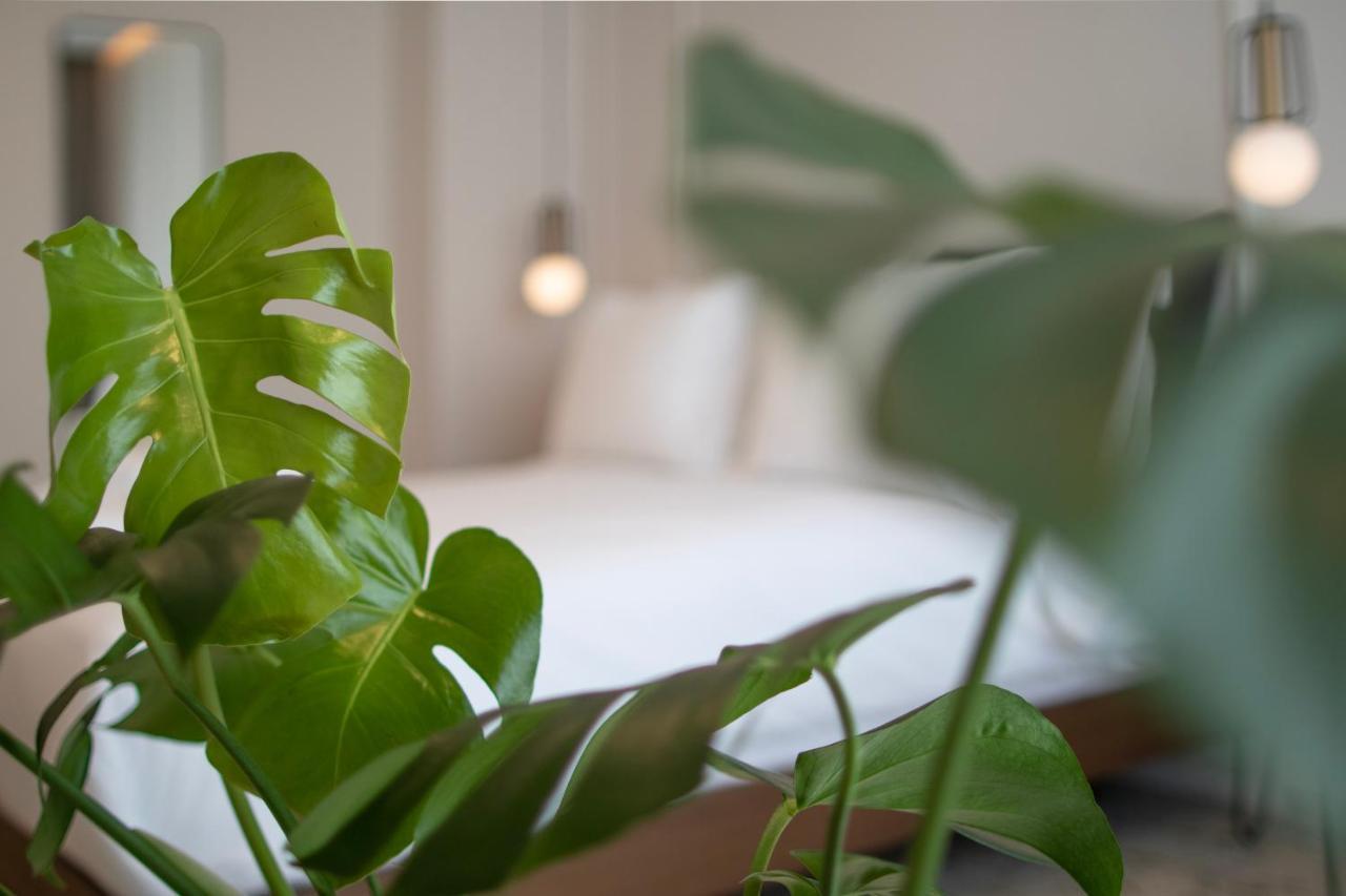 Mythodea Athens Suites Eksteriør billede